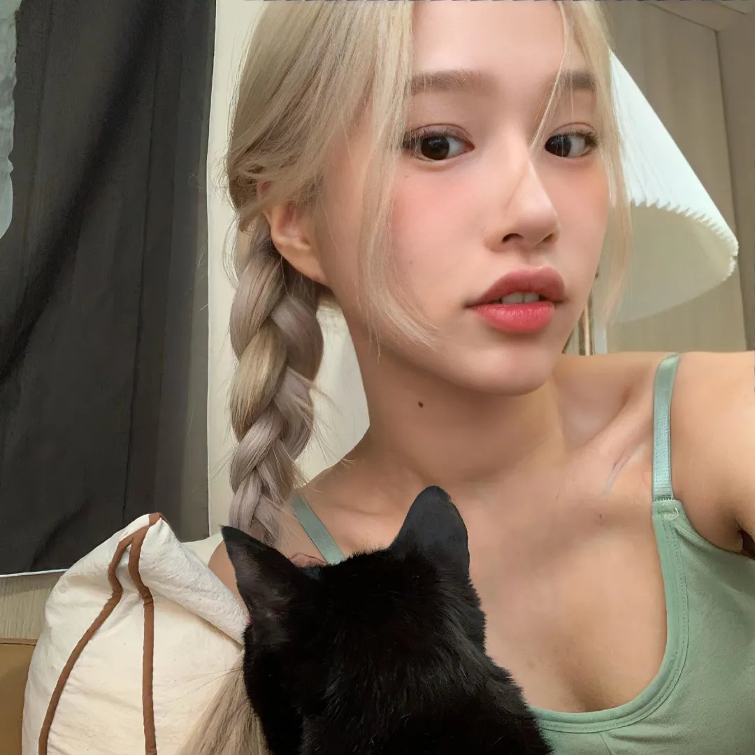 十二猴子